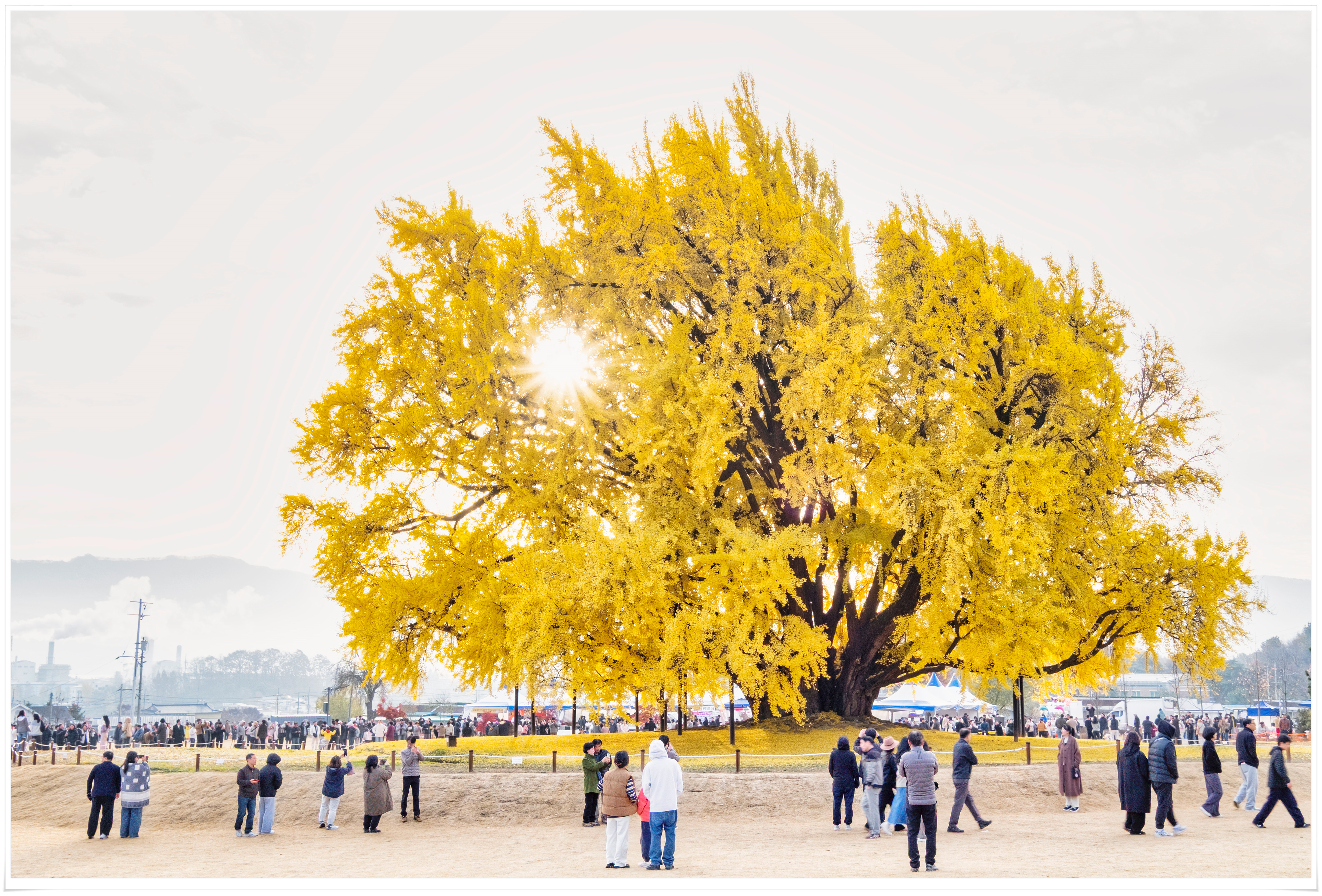 2025-11-16 08-17-01 - DSCF5620 복사.jpg