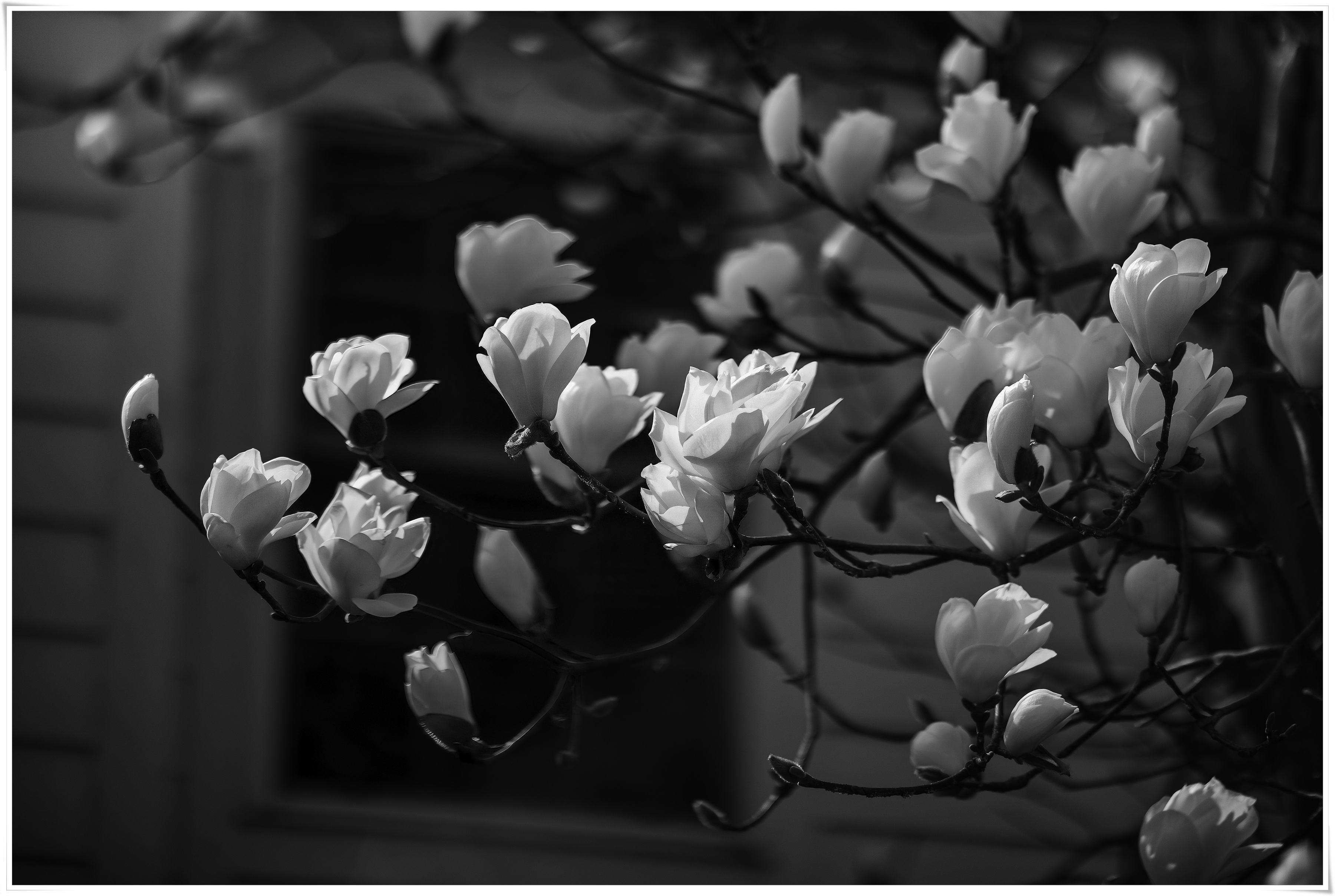 2026-04-02 13-48-27 - DSCF5951 복사.jpg