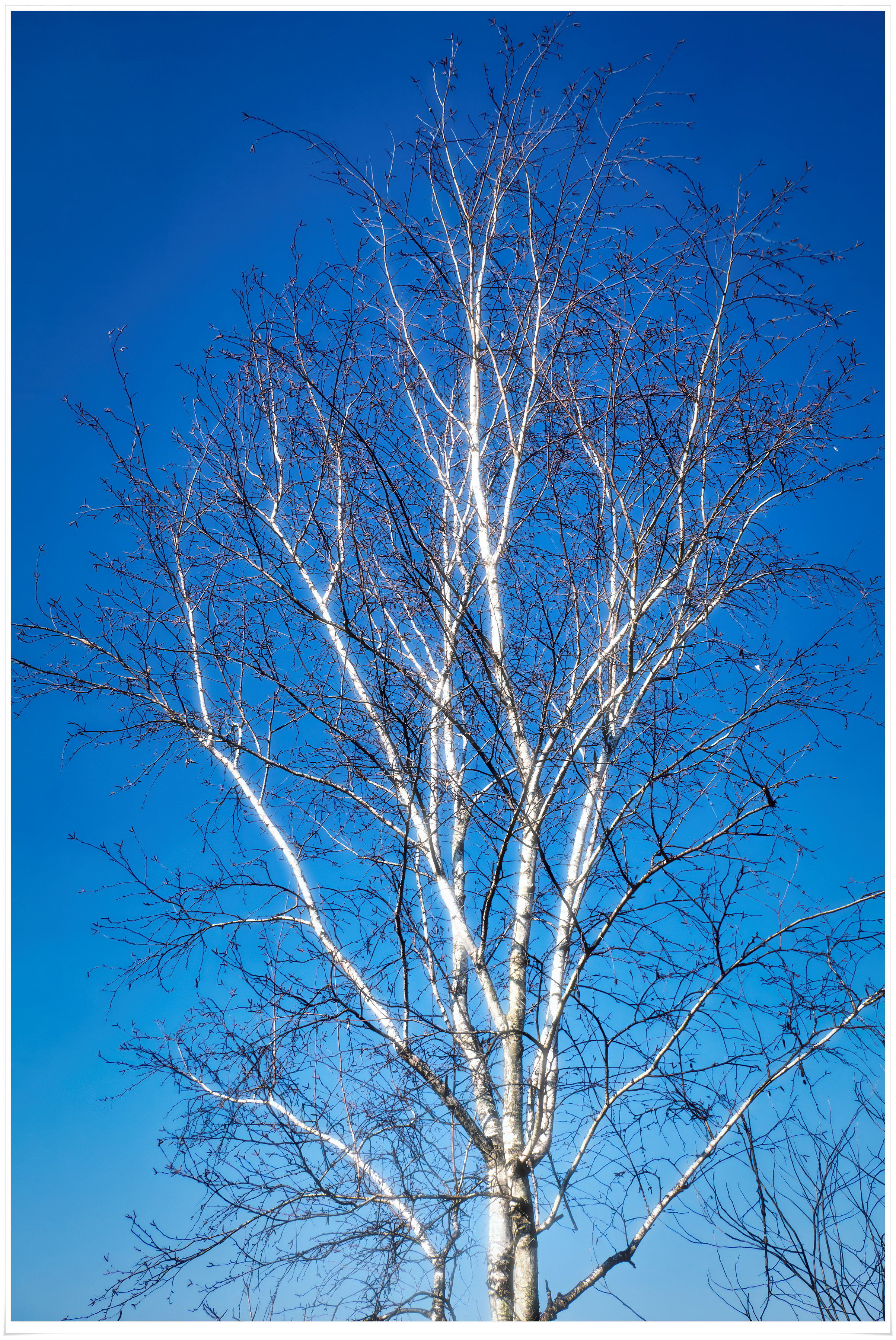 2026-02-01 16-39-56 - P1790758 복사.jpg