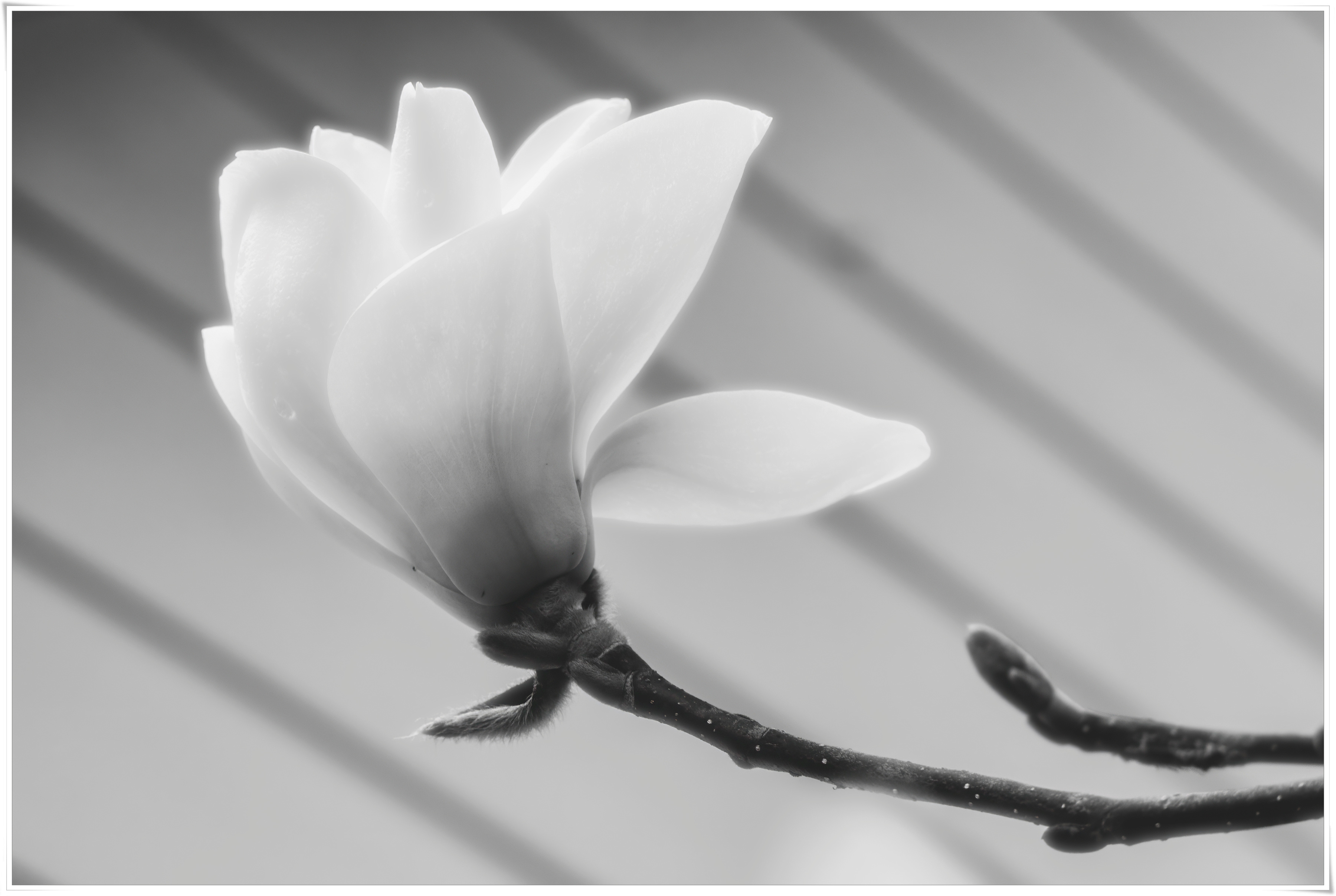 2026-03-31 18-20.jpg