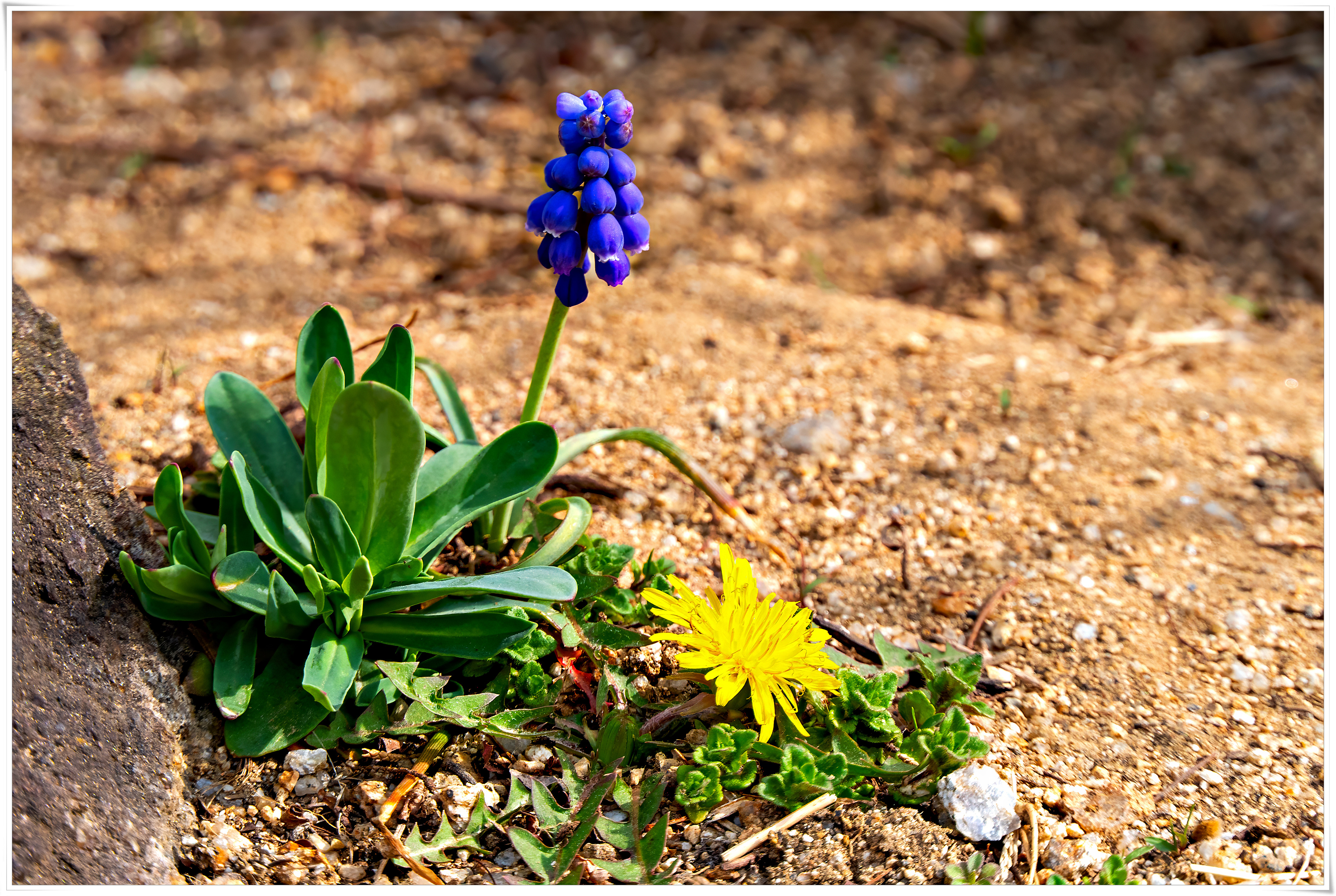 2026-03-29 11-16-56 - P1790833.jpg