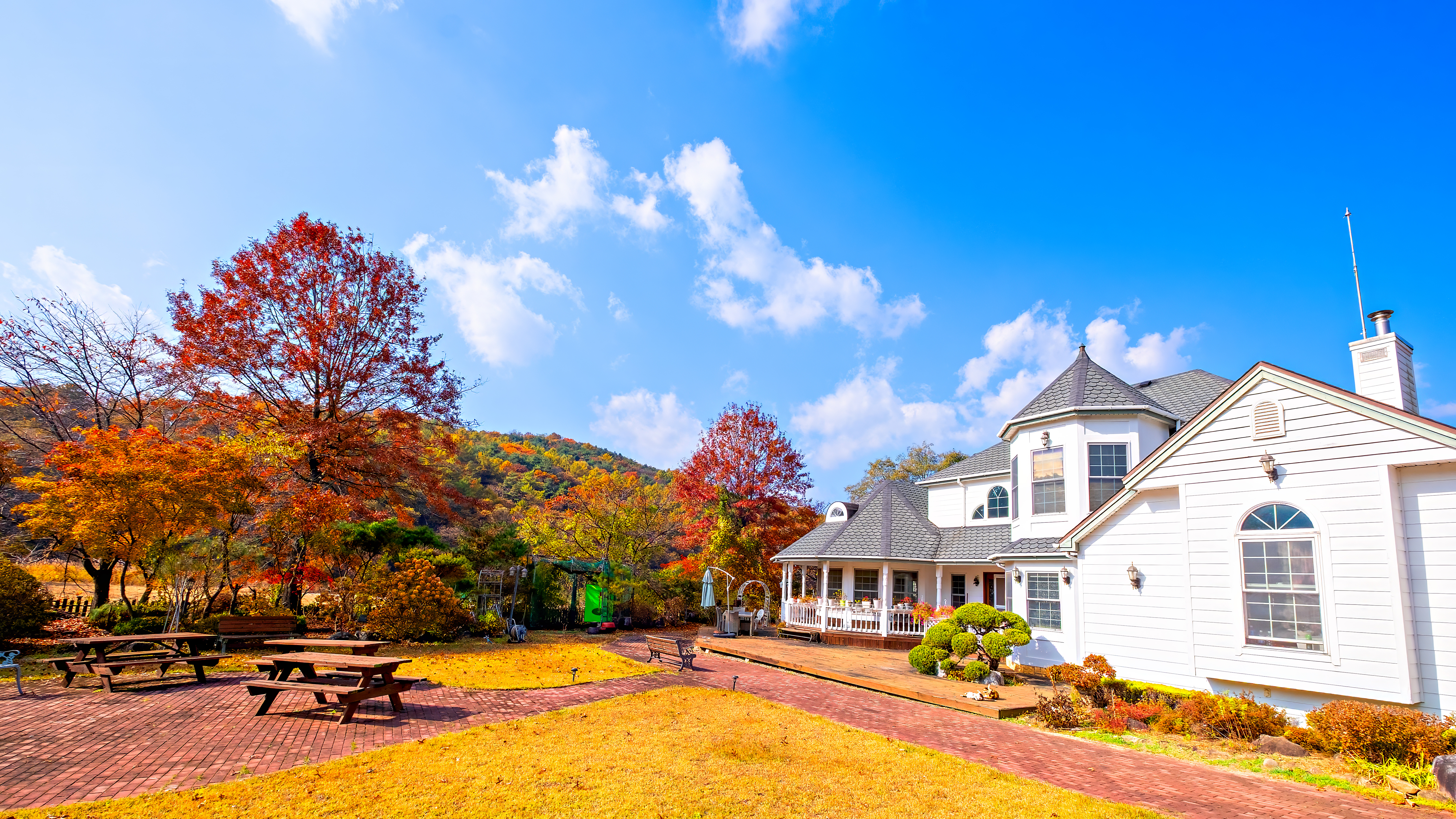 2025-11-09 12-39-21 - DSCF5592.jpg