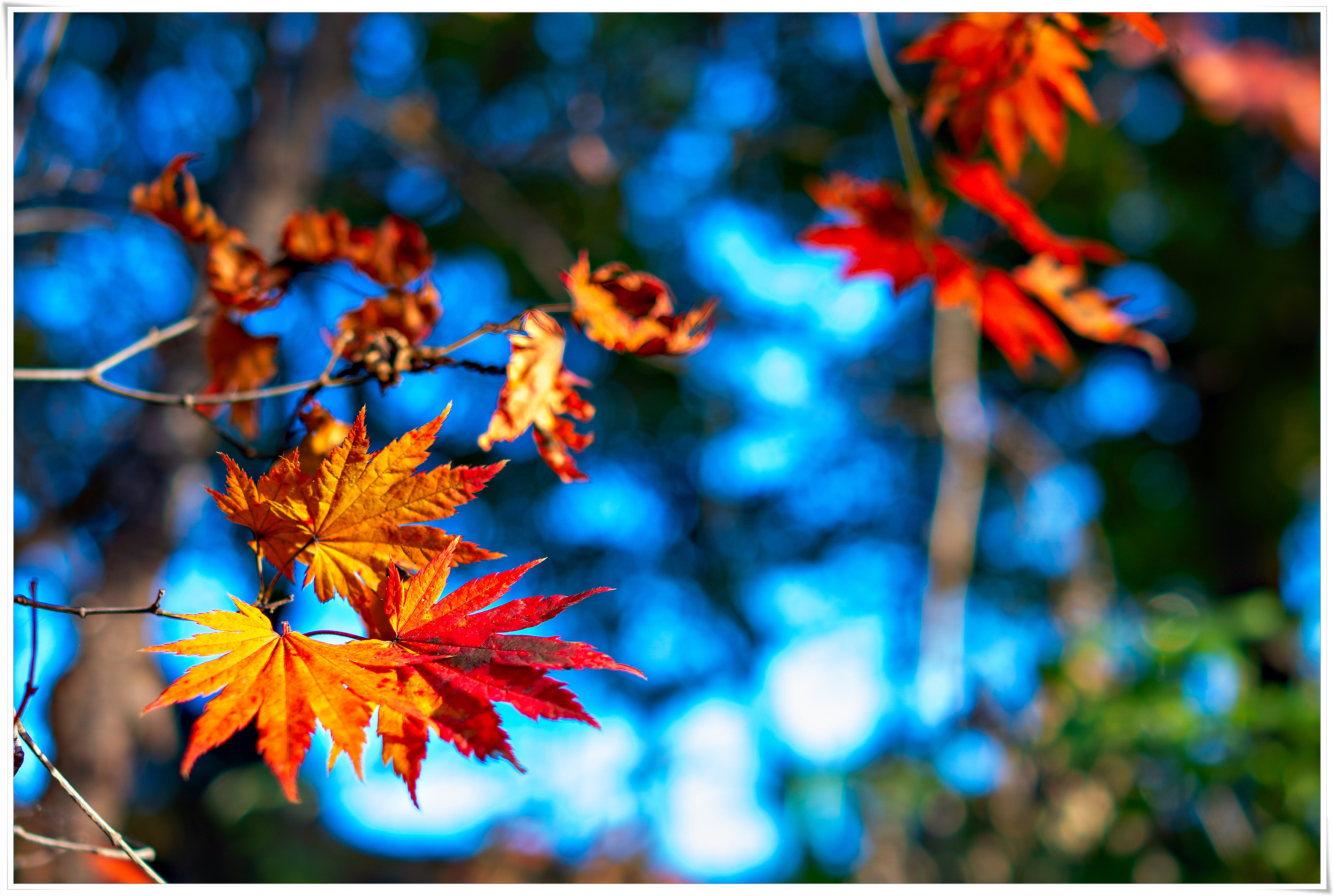 - DSC00547 복사.jpg