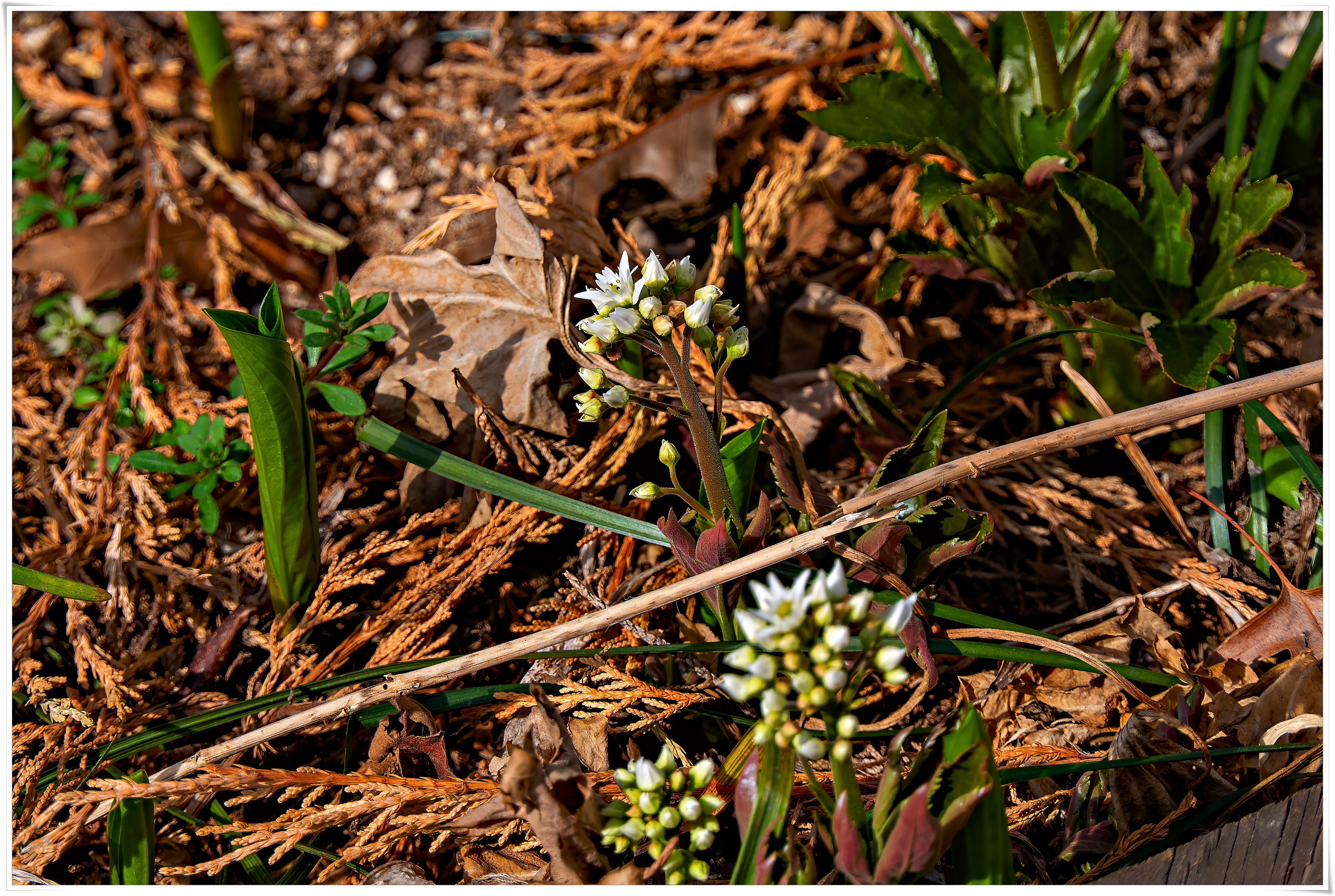 2026-03-29 11-10-40 - P1790826.jpg