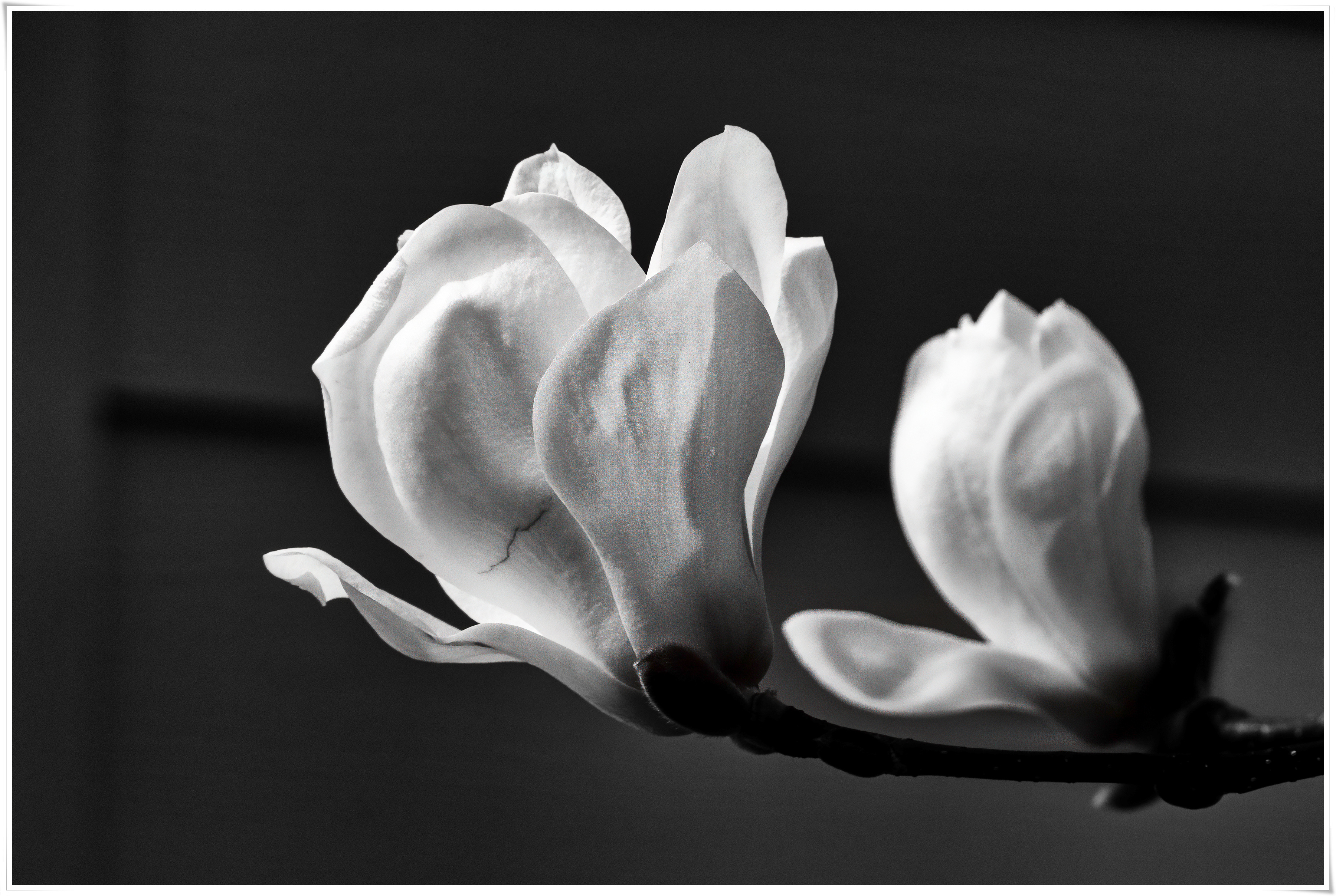 2026-04-05 11-31-43 - P1790962 복사.jpg