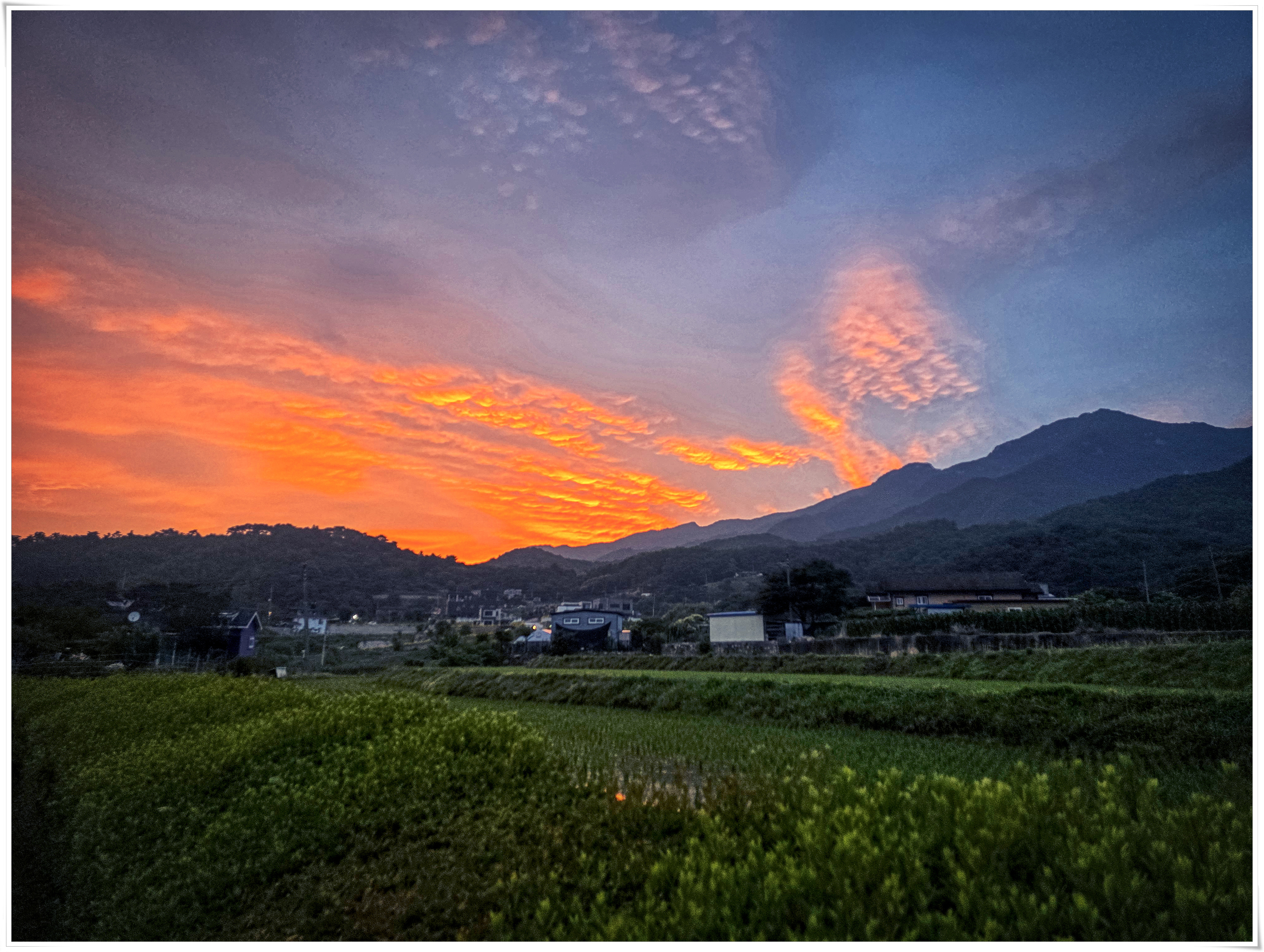 20260608_sunrise.jpg