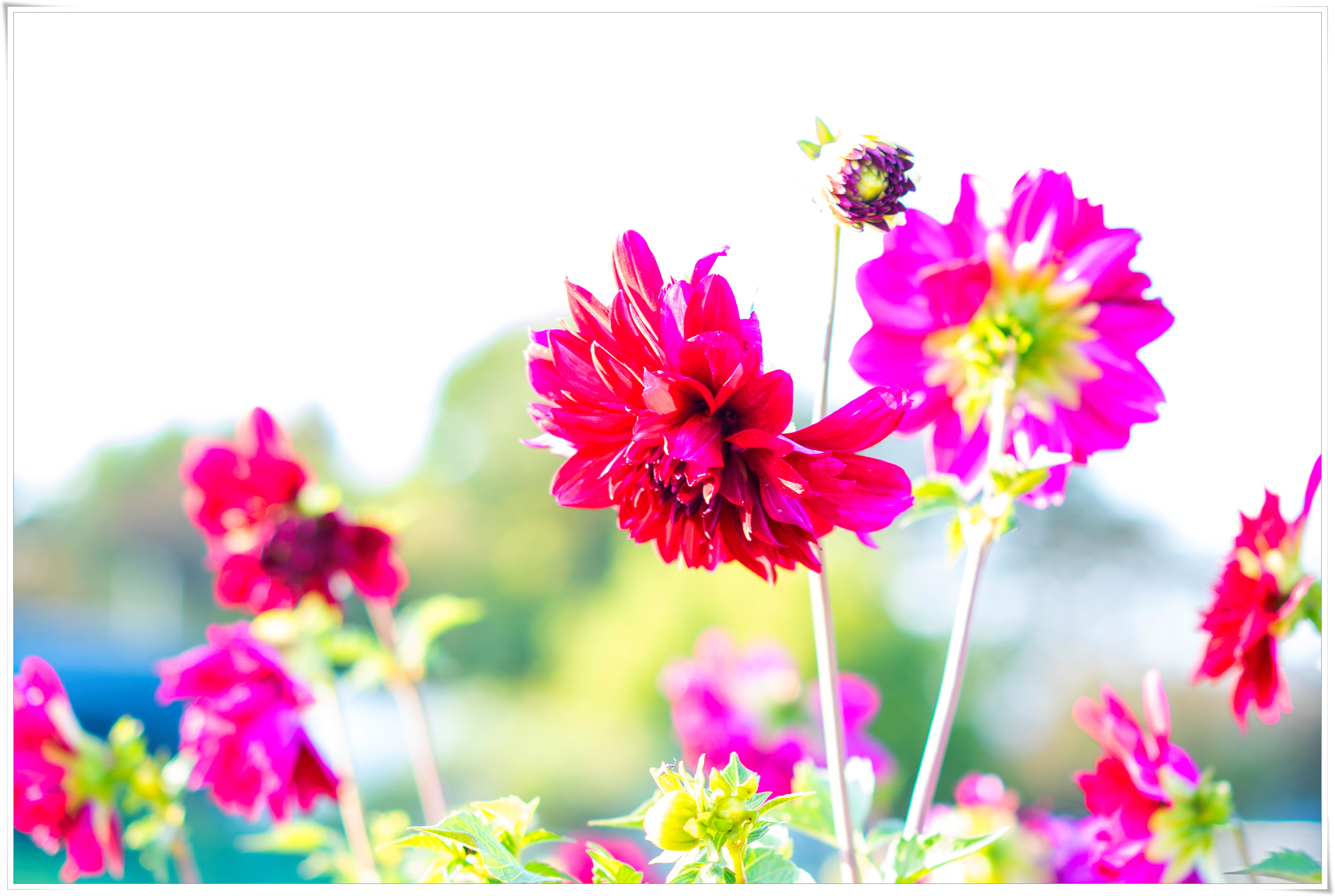 - DSC00569 복사.jpg