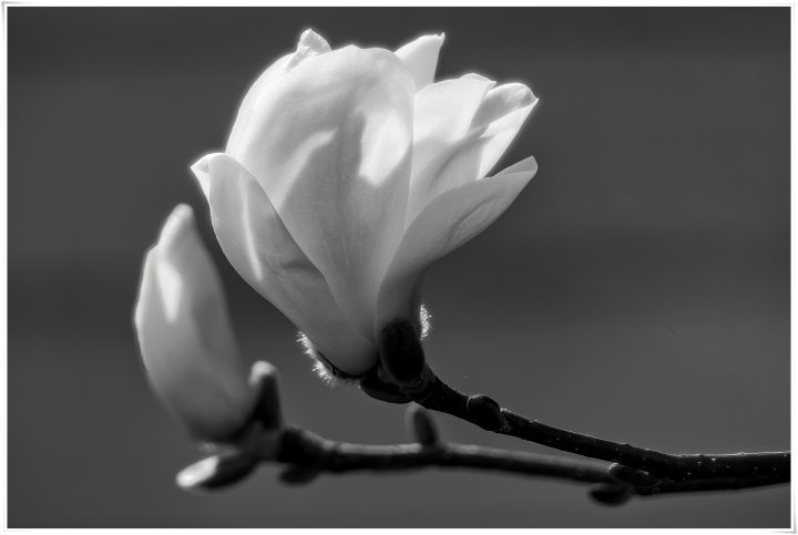 제목이 들어갑니다