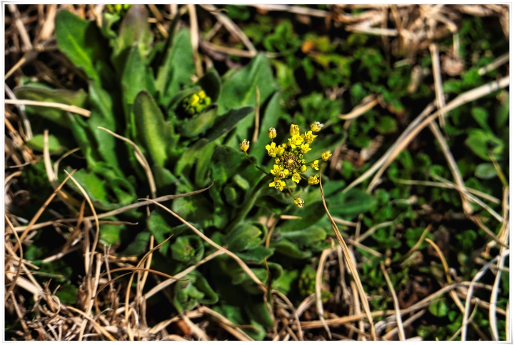 제목이 들어갑니다