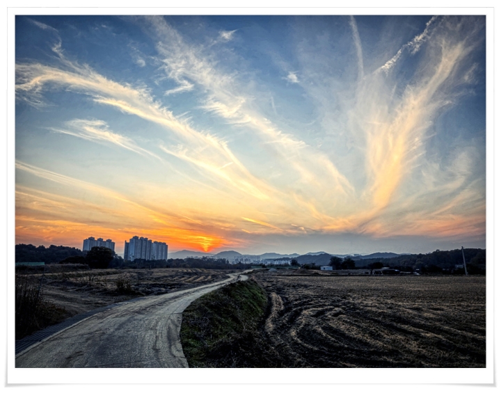 2025  행구동 가을1