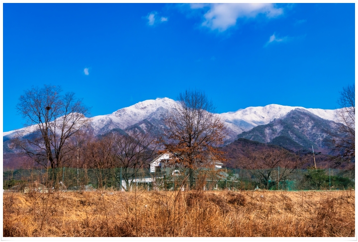 제목이 들어갑니다