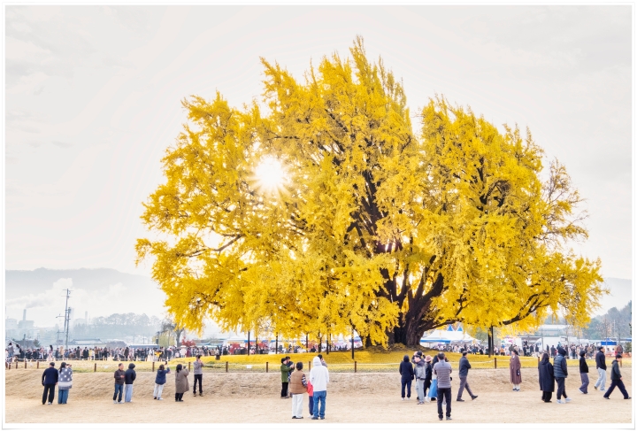제목이 들어갑니다