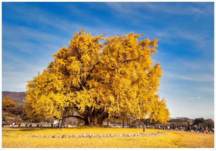 제목이 들어갑니다