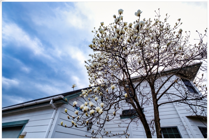 제목이 들어갑니다