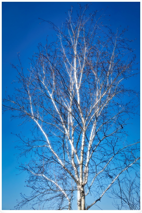 제목이 들어갑니다