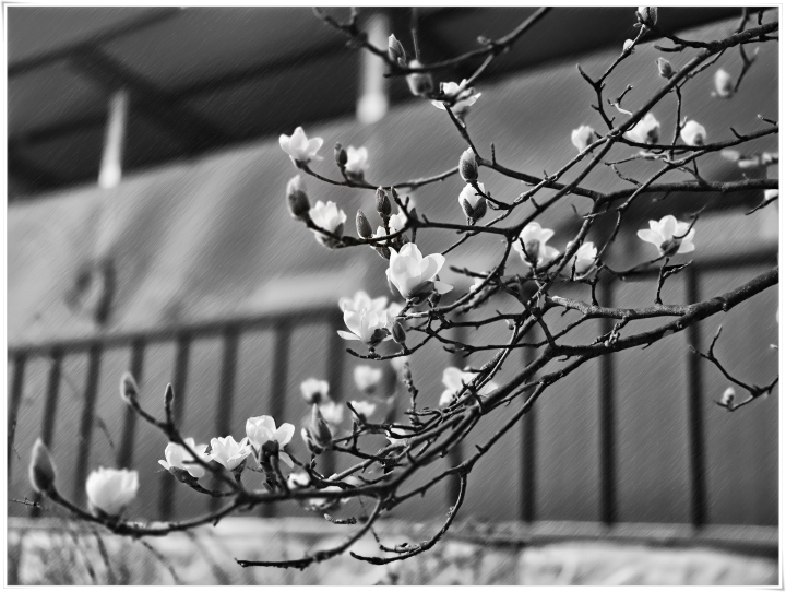 제목이 들어갑니다