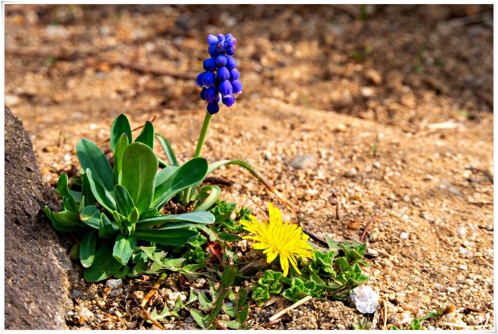 제목이 들어갑니다