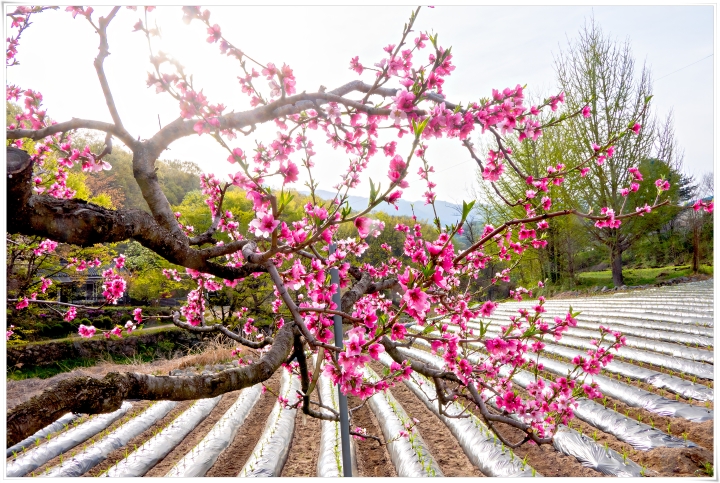 제목이 들어갑니다