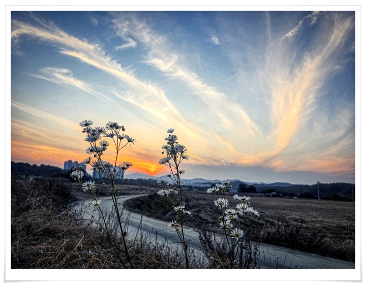 2025  행구동 가을2