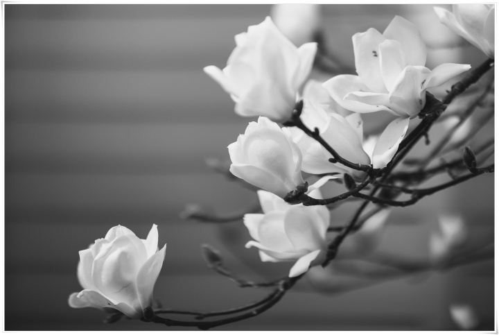 제목이 들어갑니다