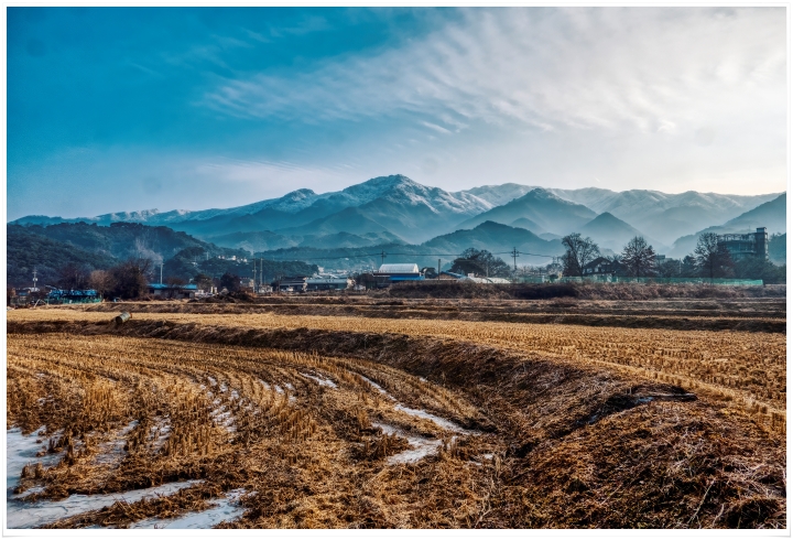 2025년 마지막 일요일  황골의 아침 