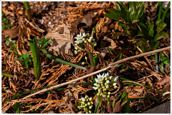 제목이 들어갑니다