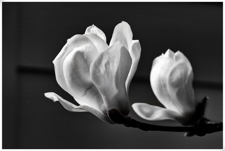 제목이 들어갑니다