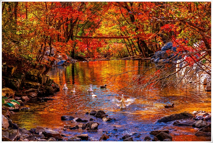 평창 용포 계곡