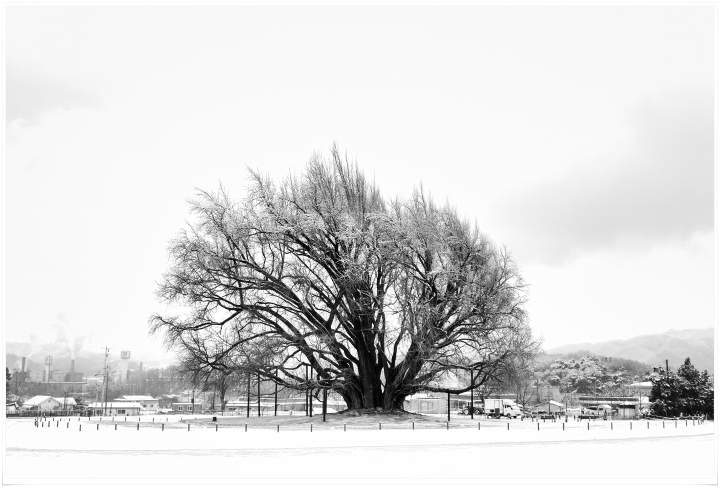 2025.12.14 반계리